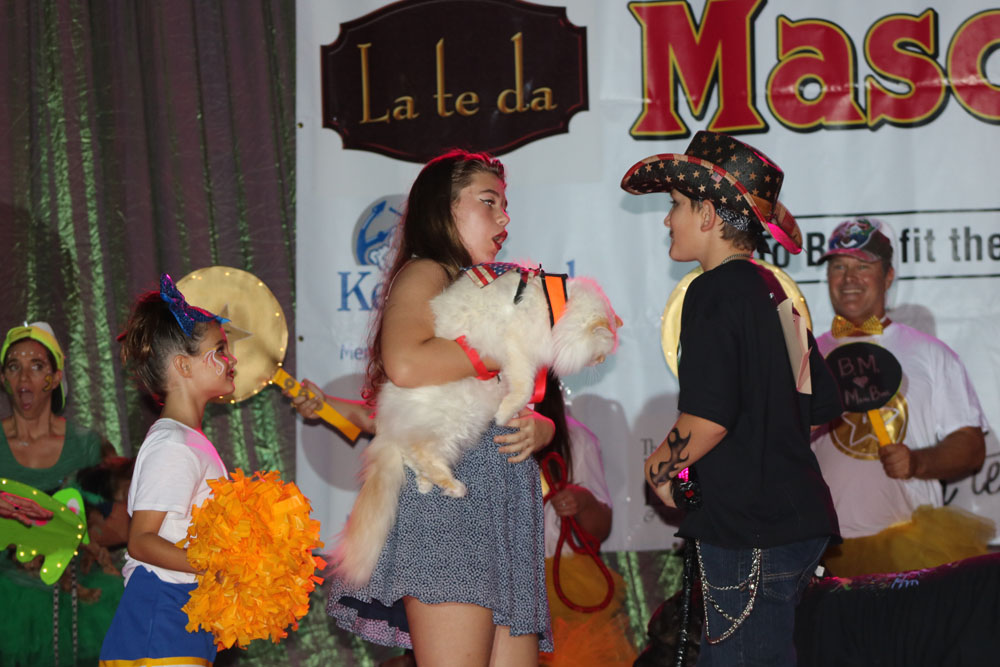 Pet Masquerade 2018 photo - Duval Street, Key West